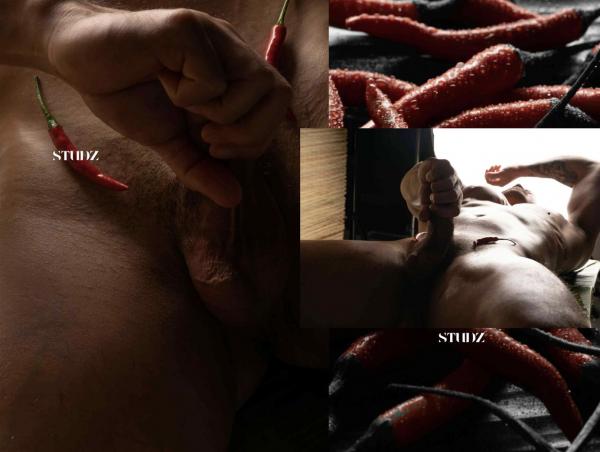 STUDZ-01--Zesty--Ebook--Video-